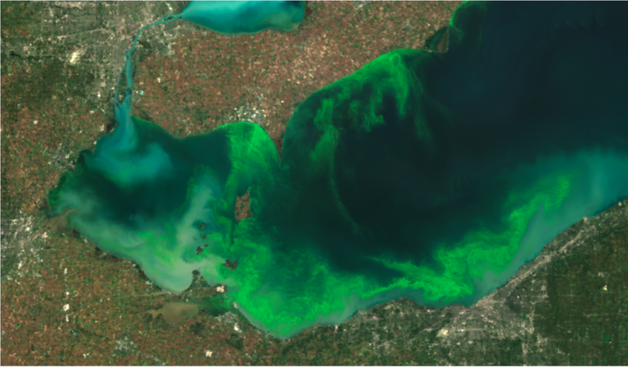 Lake+Erie+%28west+side%29