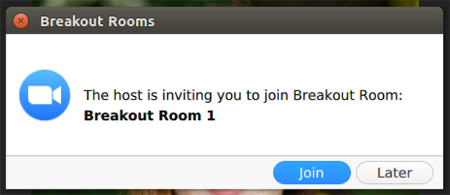Zoom "breakout rooms" allow participants to meet in a more intimate environment, but also create awkward situations.