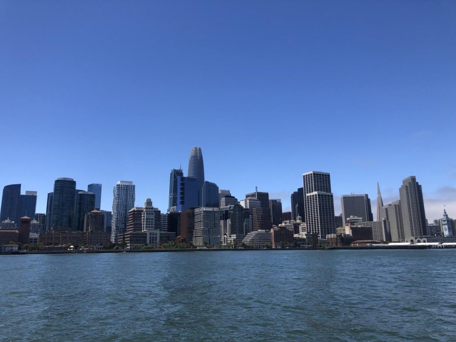 San Francisco skyline, by Margot Hart 22