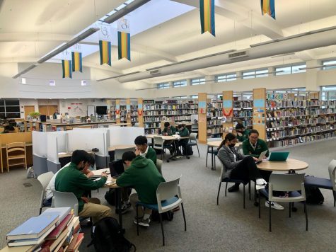 Students studying for finals in SHCs library.