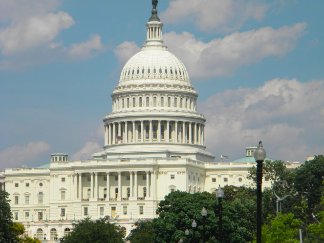 The US Capitol Building in Washington, DC
(US Capitol Building by ttarasiuk)